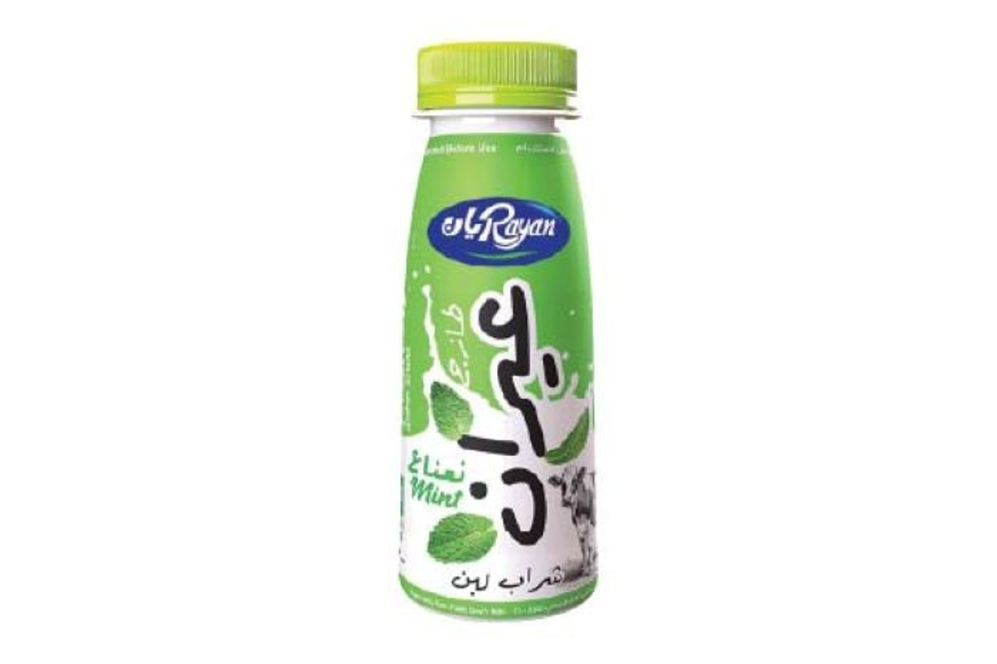 Ayran Laban With Mint Flavor